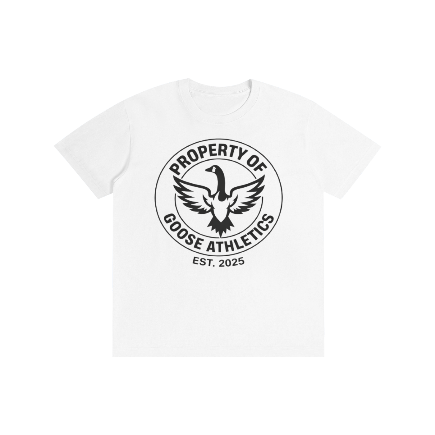 Pure Cotton Unisex T-Shirt
